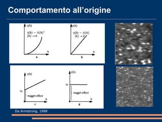 Comportamento all’origine
Da Armstrong, 1998, fig. 3.3.
Da Armstrong, 1998
 