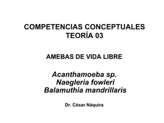 COMPETENCIAS CONCEPTUALES
        TEORÍA 03

    AMEBAS DE VIDA LIBRE

      Acanthamoeba sp.
       Naegleria fowleri
    Balamuthia mandrillaris
         Dr. César Náquira
 