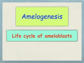 Amelogenesis
 
