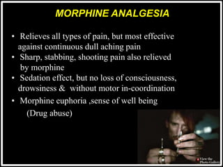 MORPHINE ANALGESIA
• Relieves all types of pain, but most effective
against continuous dull aching pain
• Sharp, stabbing, shooting pain also relieved
by morphine
• Sedation effect, but no loss of consciousness,
drowsiness & without motor in-coordination
• Morphine euphoria ,sense of well being
(Drug abuse)
 