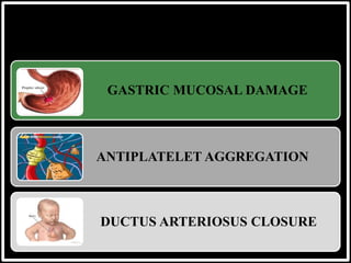GASTRIC MUCOSAL DAMAGE
ANTIPLATELET AGGREGATION
DUCTUS ARTERIOSUS CLOSURE
 