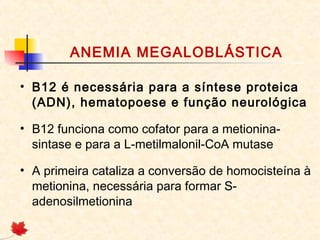 ANEMIA MEGALOBLÁSTICA
• B12 é necessária para a síntese proteica
(ADN), hematopoese e função neurológica
• B12 funciona como cofator para a metionina-
sintase e para a L-metilmalonil-CoA mutase
• A primeira cataliza a conversão de homocisteína à
metionina, necessária para formar S-
adenosilmetionina
 