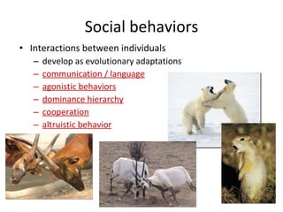 Animal Behavior | PPT