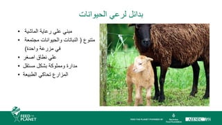‫الحيوانات‬ ‫لرعي‬ ‫بدائل‬
• ‫الماشية‬ ‫رعاية‬ ‫علي‬ ‫مبني‬
• ‫متنوع‬
(
‫مجتمعة‬ ‫والحيوانات‬ ‫النباتات‬
‫واحدة‬ ‫مزرعة‬ ‫في‬
)
• ‫اصغر‬ ‫نطاق‬ ‫علي‬
• ‫مستقل‬ ‫بشكل‬ ‫ومملوكة‬ ‫مدارة‬
• ‫الطبيعة‬ ‫تحاكي‬ ‫المزارع‬
 