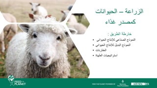 ‫الزراعة‬
–
‫الحيوانات‬
‫غذاء‬ ‫كمصدر‬
‫الطريق‬ ‫خارطة‬
:
• ‫الحيواني‬ ‫لإلنتاج‬ ‫الصناعي‬ ‫النموذج‬
• ‫الحيواني‬ ‫لإلنتاج‬ ‫البديل‬ ‫النموذج‬
• ‫المقارنات‬
• ‫الطهاة‬ ‫استراتيجيات‬
 