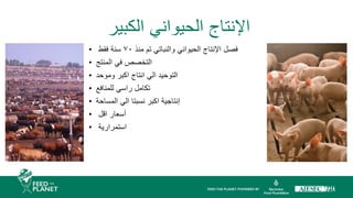 • ‫منذ‬ ‫تم‬ ‫والنباتي‬ ‫الحيواني‬ ‫اإلنتاج‬ ‫فصل‬
٧٠
‫فقط‬ ‫سنة‬
• ‫المنتج‬ ‫في‬ ‫التخصص‬
• ‫وموحد‬ ‫اكبر‬ ‫انتاج‬ ‫الي‬ ‫التوحيد‬
• ‫للمنافع‬ ‫راسي‬ ‫تكامل‬
• ‫المساحة‬ ‫الي‬ ‫نسبتا‬ ‫اكبر‬ ‫إنتاجية‬
• ‫اقل‬ ‫أسعار‬
• ‫استمرارية‬
‫الكبير‬ ‫الحيواني‬ ‫اإلنتاج‬
 