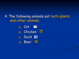 4. The following animals eat both plants
    and other animals.
        a)   Cat
        b)   Chicken
        c)   Duck
        d)   Bear
 