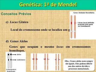 Conceitos Prévios
c) Locus Gênico
Local do cromossomo onde se localiza um gene.
d) Genes Alelos
Genes que ocupam o mesmo locus em cromossomos
homólogos.
Genética: 1ª de MendelGenética: 1ª de Mendel
Obs.: Genes alelos nem sempre
são iguais. Eles podem diferir
uns dos outros devido a
processos mutacionais.
Obs.: Genes alelos nem sempre
são iguais. Eles podem diferir
uns dos outros devido a
processos mutacionais.
 