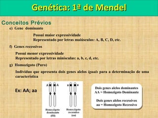 Conceitos Prévios
e) Gene dominante
Possui maior expressividade
Representado por letras maiúsculas: A, B, C, D, etc.
f) Genes recessivos
Possui menor expressividade
Representado por letras minísculas: a, b, c, d, etc.
g) Homozigoto (Puro)
Indivíduo que apresenta dois genes alelos iguais para a determinação de uma
característica
Genética: 1ª de MendelGenética: 1ª de Mendel
Dois genes alelos dominantes
AA = Homozigoto Dominante
Dois genes alelos recessivos
aa = Homozigoto Recessivo
Dois genes alelos dominantes
AA = Homozigoto Dominante
Dois genes alelos recessivos
aa = Homozigoto Recessivo
Ex: AA; aa
 