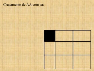 Cruzamento de AA com aa:
 