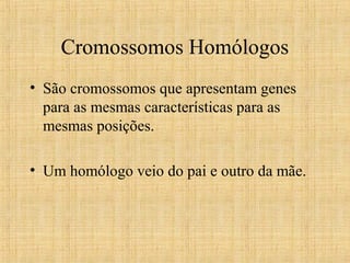 Cromossomos Homólogos
• São cromossomos que apresentam genes
para as mesmas características para as
mesmas posições.
• Um homólogo veio do pai e outro da mãe.
 