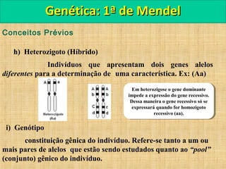 Conceitos Prévios
j) Fenótipo
É a aparência física de um organismo.
É determinada pela ação conjunta do genótipo + meio am...