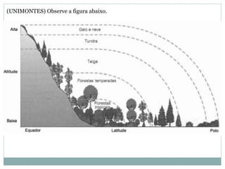 (UNIMONTES) Observe a figura abaixo.
 