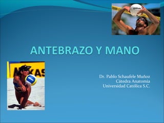 Dr. Pablo Schaufele Muñoz
Cátedra Anatomía
Universidad Católica S.C.
 