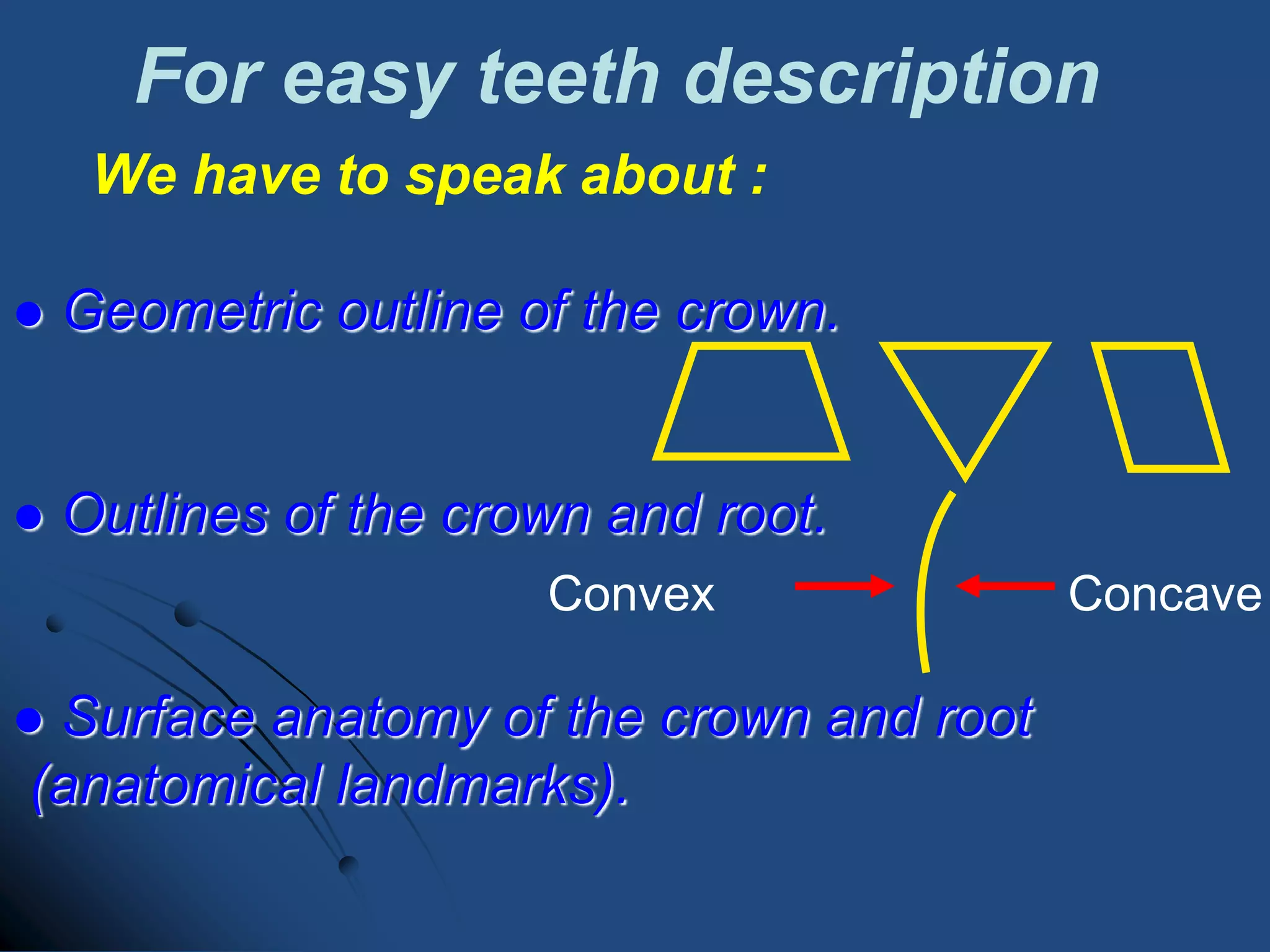 Anterior tooth | PPTX