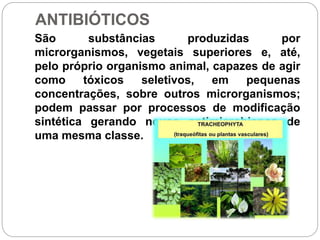ANTIBIÓTICOS
São substâncias produzidas por
microrganismos, vegetais superiores e, até,
pelo próprio organismo animal, capazes de agir
como tóxicos seletivos, em pequenas
concentrações, sobre outros microrganismos;
podem passar por processos de modificação
sintética gerando novos antimicrobianos de
uma mesma classe.
 