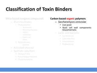 Binders Classification Antimycotoxin_Mycotoxin_Binders | PPTX