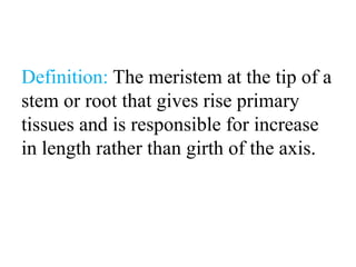 Definition: The meristem at the tip of a
stem or root that gives rise primary
tissues and is responsible for increase
in length rather than girth of the axis.
 