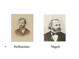 • Hofmeister Nageli
 
