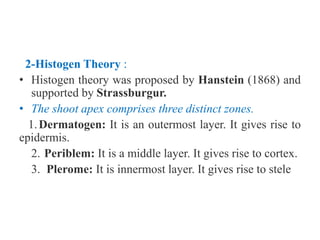 2-Histogen Theory :
• Histogen theory was proposed by Hanstein (1868) and
supported by Strassburgur.
• The shoot apex comprises three distinct zones.
1.Dermatogen: It is an outermost layer. It gives rise to
epidermis.
2. Periblem: It is a middle layer. It gives rise to cortex.
3. Plerome: It is innermost layer. It gives rise to stele
 