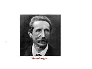 •
Strassburgur
 