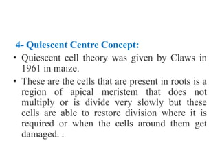 4- Quiescent Centre Concept:
• Quiescent cell theory was given by Claws in
1961 in maize.
• These are the cells that are present in roots is a
region of apical meristem that does not
multiply or is divide very slowly but these
cells are able to restore division where it is
required or when the cells around them get
damaged. .
 