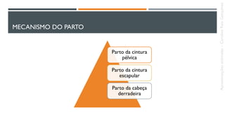 MECANISMO DO PARTO
Parto da cintura
pélvica
Parto da cintura
escapular
Parto da cabeça
derradeira
Apresentaçõesanômalas–CarolineReisGonçalves
 
