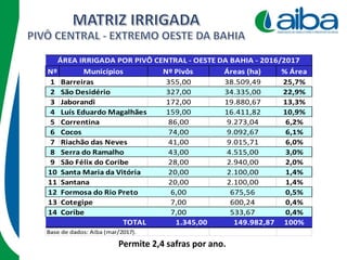 Nº Municípios Nº Pivôs Áreas (ha) % Área
1 Barreiras 355,00 38.509,49 25,7%
2 São Desidério 327,00 34.335,00 22,9%
3 Jaborandi 172,00 19.880,67 13,3%
4 Luís Eduardo Magalhães 159,00 16.411,82 10,9%
5 Correntina 86,00 9.273,04 6,2%
6 Cocos 74,00 9.092,67 6,1%
7 Riachão das Neves 41,00 9.015,71 6,0%
8 Serra do Ramalho 43,00 4.515,00 3,0%
9 São Félix do Coribe 28,00 2.940,00 2,0%
10 Santa Maria da Vitória 20,00 2.100,00 1,4%
11 Santana 20,00 2.100,00 1,4%
12 Formosa do Rio Preto 6,00 675,56 0,5%
13 Cotegipe 7,00 600,24 0,4%
14 Coribe 7,00 533,67 0,4%
1.345,00 149.982,87 100%
Base de dados: Aiba (mar/2017).
TOTAL
ÁREA IRRIGADA POR PIVÔ CENTRAL - OESTE DA BAHIA - 2016/2017
Permite 2,4 safras por ano.
 