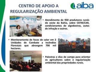 • Monitoramento de focos de calor em 2
Unidades de Combate a Incêndios
Florestais que abrangem 790 mil
hectares.
• Palestras e dias de campo para orientar
os agricultores sobre à regularização
ambiental das propriedades rurais.
• Atendimento de 950 produtores rurais
do oeste da Bahia, sobre CEFIR/CAR,
condicionantes de algodoeiras, autos
de infração e outros.
 