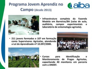 • Cursos para Identificação e
Monitoramento de Pragas Agrícolas,
capacitando 40 monitores em parceria
com a ANDEF.
• Infraestrutura completa da Fazenda
Modelo em Barreiras/BA (salas de aula,
auditório, campos experimentais e
laboratório de entomologia agrícola).
• 211 jovens formados e 107 em formação
como Supervisores Agrícolas, atendendo
a Lei do Aprendizado nº 10.097/2000.
 