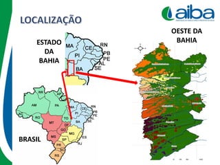 BRASIL
ESTADO
DA
BAHIA
OESTE DA
BAHIA
 