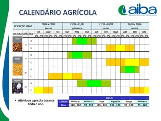 • Atividade agrícola durante
todo o ano.
Milho
Soja
Algodão
Cultura Milho 1ª Milho 2ª Soja Algodão Sorgo Milheto
Dias 120 - 150 90 - 150 105 - 135 135 - 180 95 - 120 95 - 120
CICLO
 