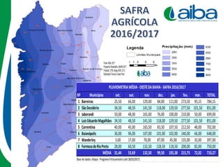 Nº Municípios set. out. nov. dez. jan. fev. mar. TOTAL
1 Barreiras 25,50 66,00 129,00 84,00 111,00 273,50 95,15 784,15
2 SãoDesidério 34,50 48,50 141,50 118,00 129,50 277,50 101,50 851,00
3 Jaborandi 50,00 48,00 165,00 76,00 100,00 210,00 50,00 699,00
4 LuísEduardoMagalhães 34,50 48,50 141,50 118,00 129,50 277,50 101,50 851,00
5 Correntina 40,00 45,00 165,50 83,50 107,50 212,50 48,00 702,00
6 Baianópolis 36,00 96,00 107,00 101,00 102,00 140,00 66,00 648,00
7 Wanderley 3,00 17,00 78,00 87,00 45,00 135,00 32,00 397,00
8 FormosadoRioPreto 28,00 60,50 132,50 128,50 118,50 200,00 82,00 750,00
31,44 53,69 132,50 99,50 105,38 215,75 72,02 710,27
Basededados:Abapa-ProgramaFitossanotário(até28/03/2017).
PLUVIOMETRIAMÉDIA-OESTEDABAHIA-SAFRA2016/2017
MÉDIA
 