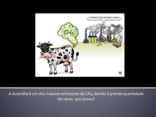 A Austrália é um dos maiores emissores de CH4 devido à grande quantidade  de vacas  que possuí! 