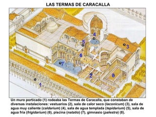 LAS TERMAS DE CARACALLA Un muro porticado (1) rodeaba las Termas de Caracalla, que constaban de diversas instalaciones: vestuarios (2), sala de calor seco ( laconicum ) (3), sala de agua muy caliente ( caldarium ) (4), sala de agua templada ( tepidarium ) (5), sala de agua fría ( frigidarium ) (6), piscina ( natatio ) (7), gimnasio ( palestra ) (8). 2 1 3 4 5 6 7 8 