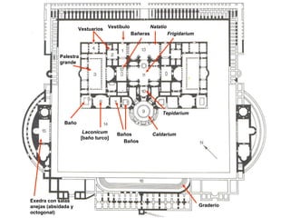 Vestíbulo Vestuarios Palestra grande Baño Laconicum  [baño turco] Baños Caldarium Tepidarium Frigidarium Bañeras Natatio Graderío Exedra con salas anejas (absidada y octogonal) Baños 
