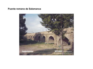 Puente romano de Salamanca 