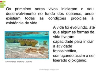 Os primeiros seres vivos iniciaram o seu desenvolvimento no fundo dos oceanos, onde existiam todas as condições propicias à existência de vida. 
Estrematólitos, Shark Bay - Austrália 
A vida foi evoluindo, até que algumas formas de vida tiveram capacidade para iniciar a atividade fotossintética, começando assim a ser liberado o oxigênio. 
carolcorreageo.blogspot.com  