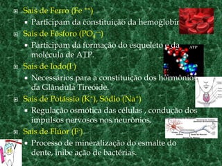 Sais de Ferro (Fe ++)
 Participam da constituição da hemoglobina.
 Sais de Fósforo (PO4
---)
 Participam da formação do esqueleto e da
molécula de ATP.
 Sais de Iodo(I-)
 Necessários para a constituição dos hormônios
da Glândula Tireóide.
 Sais de Potássio (K+), Sódio (Na+)
 Regulação osmótica das células , condução dos
impulsos nervosos nos neurônios.
 Sais de Flúor (F-)
 Processo de mineralização do esmalte do
dente, inibe ação de bactérias.
 