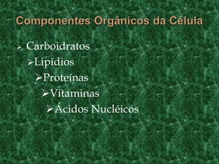    Carboidratos
    Lipídios
     Proteínas
      Vitaminas
       Ácidos Nucléicos
 