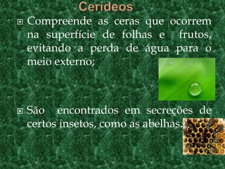    Compreende as ceras que ocorrem
    na superfície de folhas e frutos,
    evitando a perda de água para o
    meio externo;



   São encontrados em secreções de
    certos insetos, como as abelhas.
 