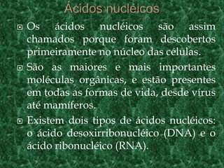    Os ácidos nucléicos são assim
    chamados porque foram descobertos
    primeiramente no núcleo das células.
   São as maiores e mais importantes
    moléculas orgânicas, e estão presentes
    em todas as formas de vida, desde vírus
    até mamíferos.
   Existem dois tipos de ácidos nucléicos:
    o ácido desoxirribonucléico (DNA) e o
    ácido ribonucléico (RNA).
 