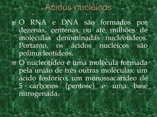    O RNA e DNA são formados por
    dezenas, centenas ou até milhões de
    moléculas denominadas nucleotídeos.
    Portanto, os ácidos nucléicos são
    polinucleotídeos.
   O nucleotídeo é uma molécula formada
    pela união de três outras moléculas: um
    ácido fosfórico, um monossacarídeo de
    5 carbonos (pentose) e uma base
    nitrogenada.
 