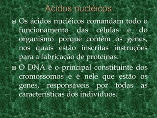    Os ácidos nucléicos comandam todo o
    funcionamento das células e do
    organismo porque contém os genes,
    nos quais estão inscritas instruções
    para a fabricação de proteínas.
   O DNA é o principal constituinte dos
    cromossomos e é nele que estão os
    genes, responsáveis por todas as
    características dos indivíduos.
 