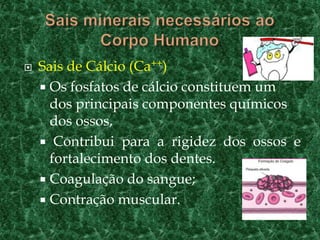   Sais de Cálcio (Ca++)
     Os fosfatos de cálcio constituem um
      dos principais componentes químicos
      dos ossos,
     Contribui para a rigidez dos ossos e
      fortalecimento dos dentes.
     Coagulação do sangue;
     Contração muscular.
 
