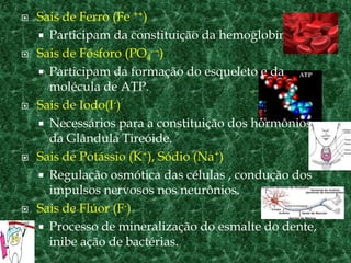    Sais de Ferro (Fe ++)
     Participam da constituição da hemoglobina.
   Sais de Fósforo (PO4---)
     Participam da formação do esqueleto e da
      molécula de ATP.
   Sais de Iodo(I-)
     Necessários para a constituição dos hormônios
      da Glândula Tireóide.
   Sais de Potássio (K+), Sódio (Na+)
     Regulação osmótica das células , condução dos
      impulsos nervosos nos neurônios.
   Sais de Flúor (F-)
     Processo de mineralização do esmalte do dente,
      inibe ação de bactérias.
 