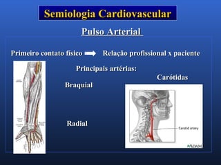 Semiologia CardiovascularSemiologia Cardiovascular
Primeiro contato físico Relação profissional x pacientePrimeiro contato físico Relação profissional x paciente
Pulso ArterialPulso Arterial
Principais artérias:Principais artérias:
CarótidasCarótidas
RadialRadial
BraquialBraquial
 