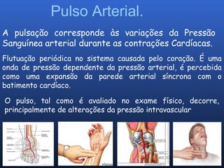 Pulso Arterial.
A pulsação corresponde às variações da Pressão
Sanguínea arterial durante as contrações Cardíacas.
Flutuação periódica no sistema causada pelo coração. É uma
onda de pressão dependente da pressão arterial, é percebida
como uma expansão da parede arterial síncrona com o
batimento cardíaco.
O pulso, tal como é avaliado no exame físico, decorre,
principalmente de alterações da pressão intravascular
 