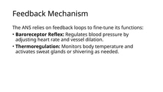 Autonomic Nervous System - Neuropsychology | PPTX