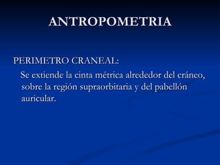 ANTROPOMETRIA PERIMETRO CRANEAL: Se extiende la cinta métrica alrededor del cráneo, sobre la región supraorbitaria y del pabellón auricular.  